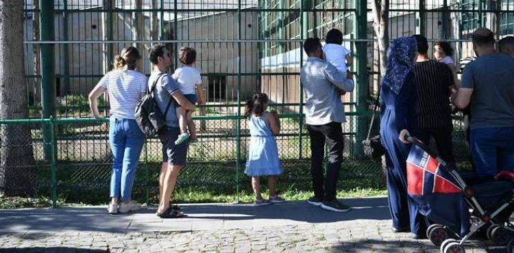 Büyükşehir Hayvanat Bahçesi’nin Misafirlerine Bayramda Ziyaretçi Akını