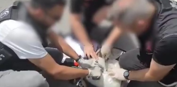 Narkotik operasyonunda 6 gözaltı