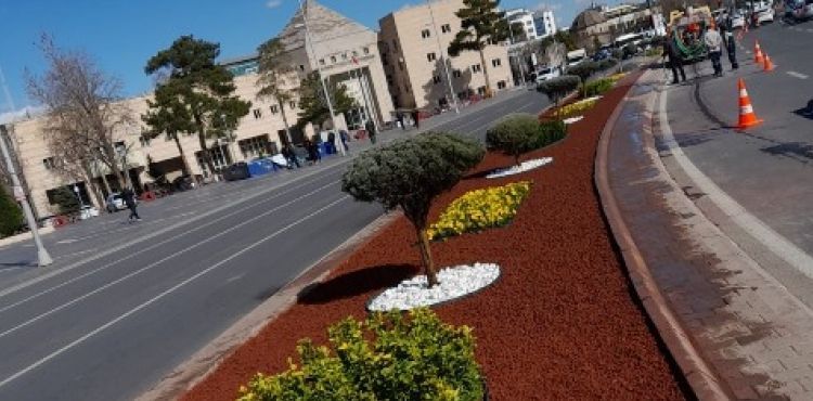 BÜYÜKŞEHİR, KENTİN DÖRT BİR YANINI 800 BİN ADET ÇİÇEK İLE DONATTI