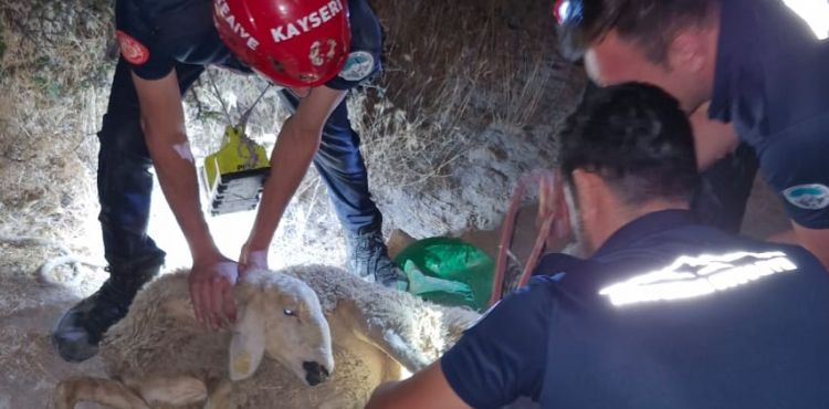 BÜYÜKŞEHİR İTFAİYESİ’NDEN GECE YARISI ‘KOYUN KURTARMA’ ÇALIŞMASI