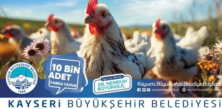 BÜYÜKŞEHİR, KIRSALDAKİ KADIN ÜRETİCİLERE 10 BİN TAVUK DAĞITACAK