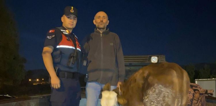 Büyükbaş hayvan hırsızı yakalandı