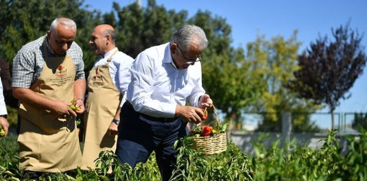 BAŞKAN BÜYÜKKILIÇ, ORGANİK ÜRÜNLERİ ELLERİYLE TOPLADI, YEMEK PİŞİRDİ
