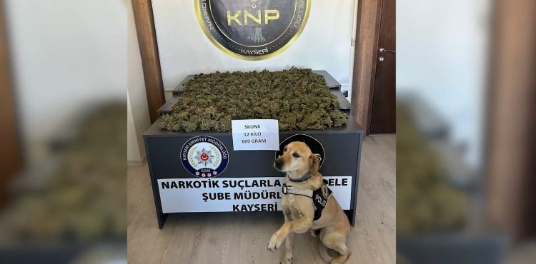 Uyuşturucu operasyonu: 12 kilo 600 gram uyuşturucu el geçirildi
