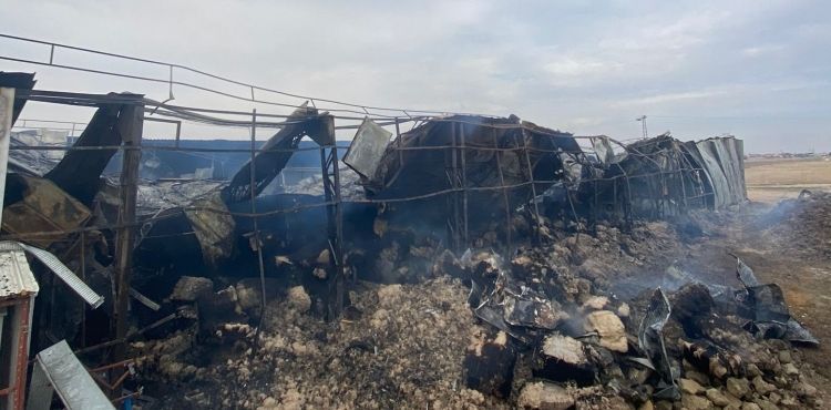 Kayseri'de mantar üretim tesisinde yangın