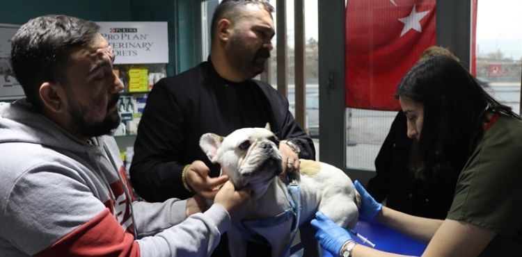 Kayseri’de köpeği aydınaltma direğine vuran şüpheli yakalandı