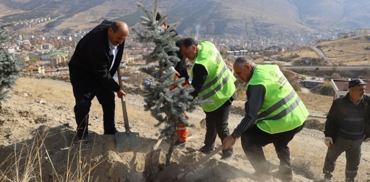 YAHYALI’DA BİNLERCE FİDAN TOPRAKLA BULUŞTU