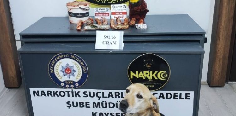Salça bidonundaki uyuşturucu narkotik köpeği Jack buldu