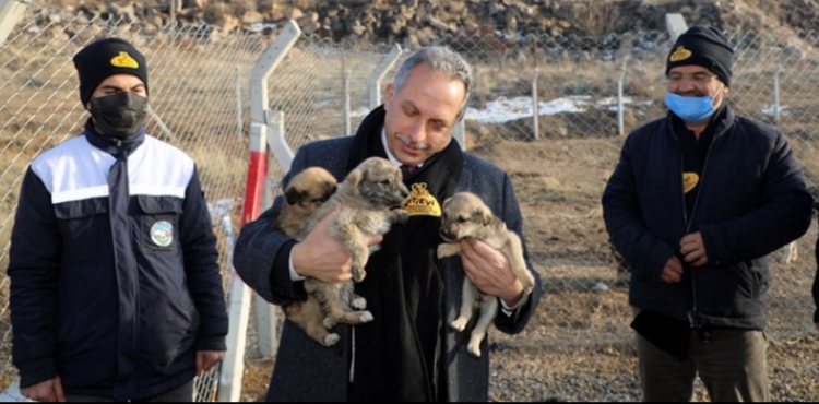 TALAS’TA PATİLİ DOSTLARA 5 YILDIZLI BARINMA İMKANI