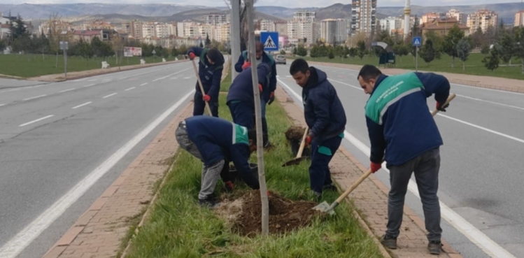 KAYSERİ BÜYÜKŞEHİR, ŞEHRİ DAHA YEŞİL VE TEMİZ HALE GETİRİYOR