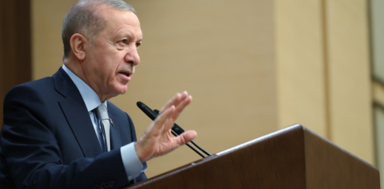 Cumhurbaşkanı Erdoğan: Bu şahıslar 'sokak röportajı' adı altında terör estirmektedir
