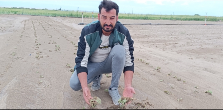 Kayseri'de sağanak ve dolu nedeniyle tarım arazileri zarar gördü
