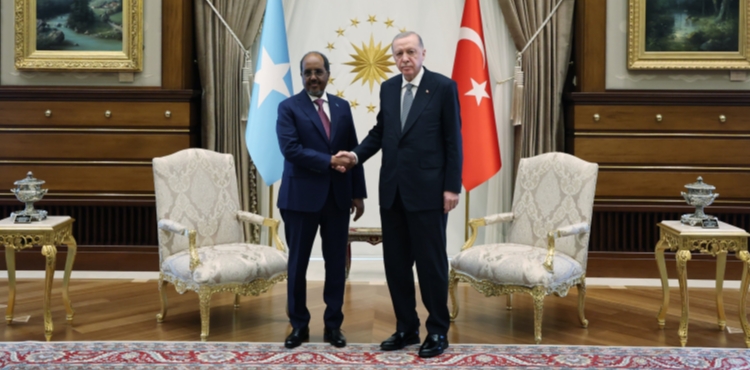 Cumhurbaşkanı Erdoğan, Somali Cumhurbaşkanı Mahmud ile bir araya geldi