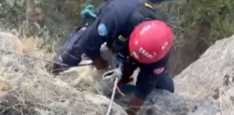 BÜYÜKŞEHİR İTFAİYESİ UÇURUMDA MAHSUR KALAN KEÇİYİ KURTARDI