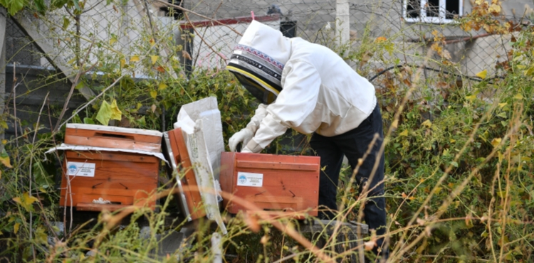 BAKAN BYKKILIǒA, KOVAN SZDEN ARI BZDEN PROJES TEEKKR