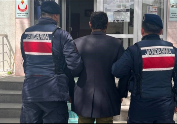 P�narba��'da k�pe�i a�aca a�arak �ld�ren ��pheli g�zalt�na al�nd� 