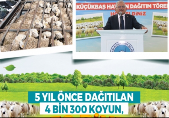 BA�KAN B�Y�KKILIǒTAN KIRSALA, KEND� KEND�N� B�Y�TEN MODEL: 150 B�N K���KBA� ARTI�I