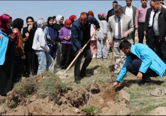 �ncesu�da fidanlar toprakla bulu�tu