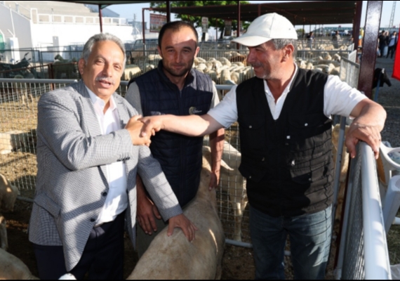 TALAS�TA KURBAN SATI� YERLER� KURASI