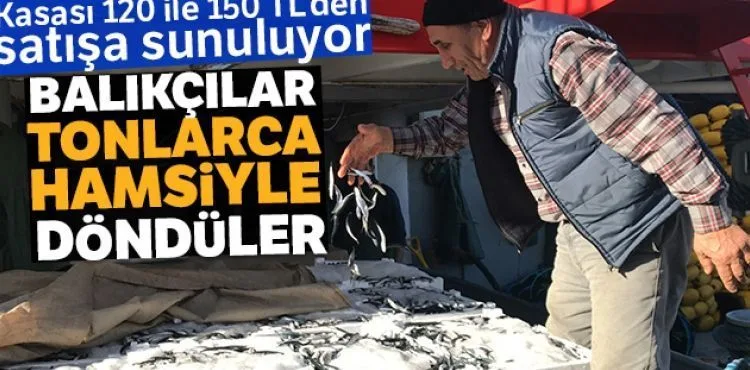 Balıkçılar tonlarca hamsiyle döndüler