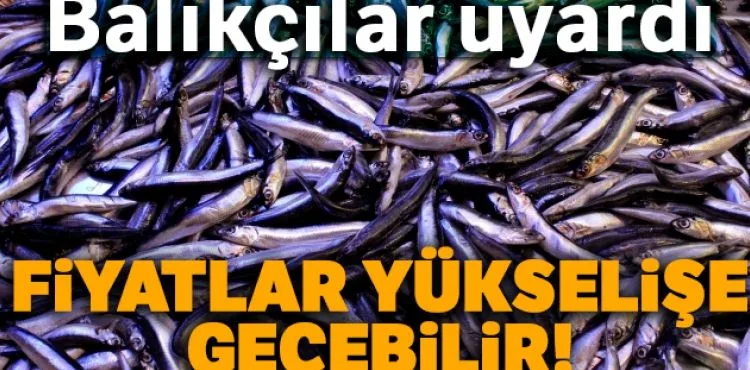 Balıkçılar uyardı: Fiyatlar yükselişe geçebilir