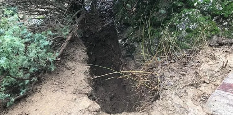 Jandarmadan büyük başarı, işbirlikçilerin toprağa gömdüğü teröristler bir bir bulundu