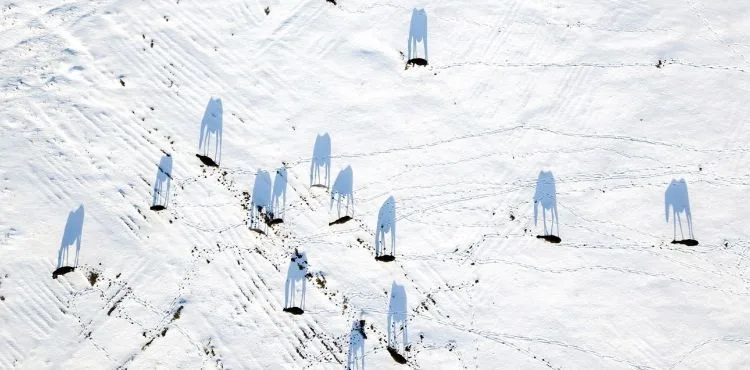 'Kayseri'de Bir An' Fotoğraf Yarışması sonuçlandı