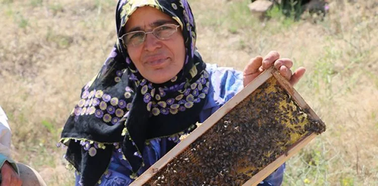 Cesaretiyle erkek arıcılara taş çıkartıyor