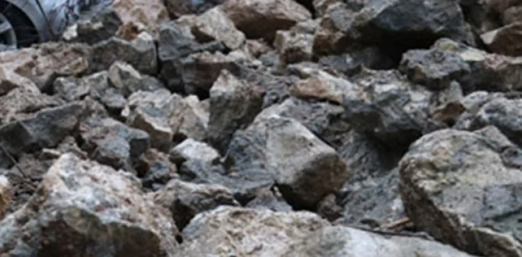 Çin'de heyelan: 15 ölü