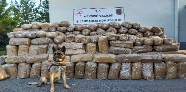 Kargo aracında 6 ton 280 kilogram tütün ele geçirildi