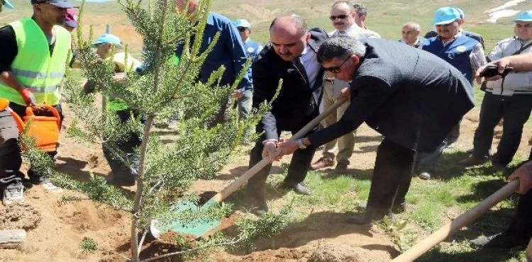 Vali Günaydın'dan Fidan Dikimine Davet