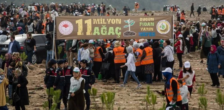 Bakanlık açıkladı: 11 milyon fidanın yüzde 95'i tuttu