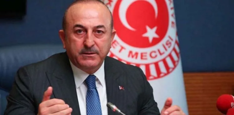 Bakan Çavuşoğlu: Yurt dışındaki 3 bin 614 vatandaşımızı bu gece getireceğiz