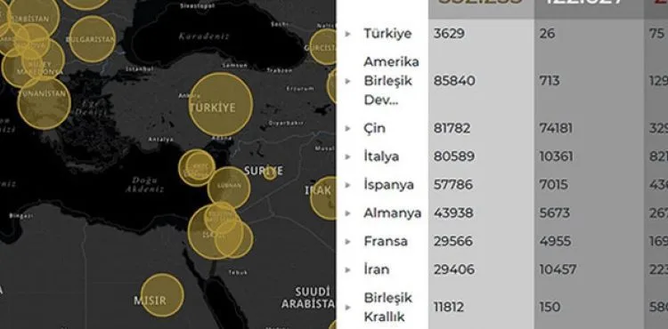 Cumhurbaşkanlığı Dijital Dönüşüm Ofisi'nden koronavirüs bilgilendirme sitesi