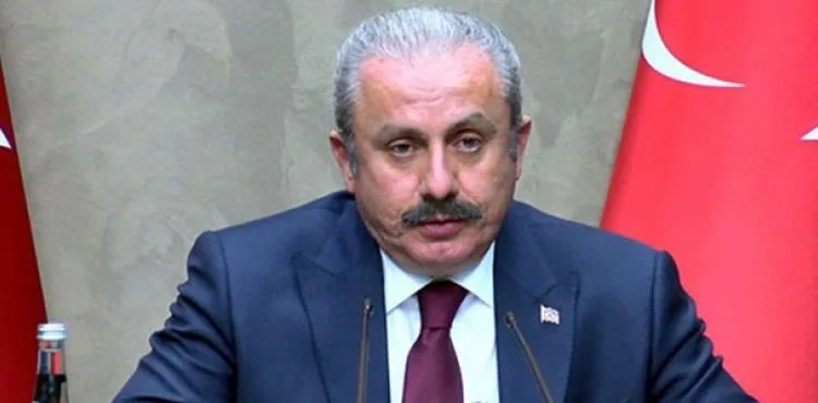 Şentop: Resmi törenleri yapacağız diye planlıyoruz