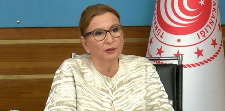 Bakan Pekcan: E-ticareti kullanan firma sayısı 300 bine ulaşmış durumda