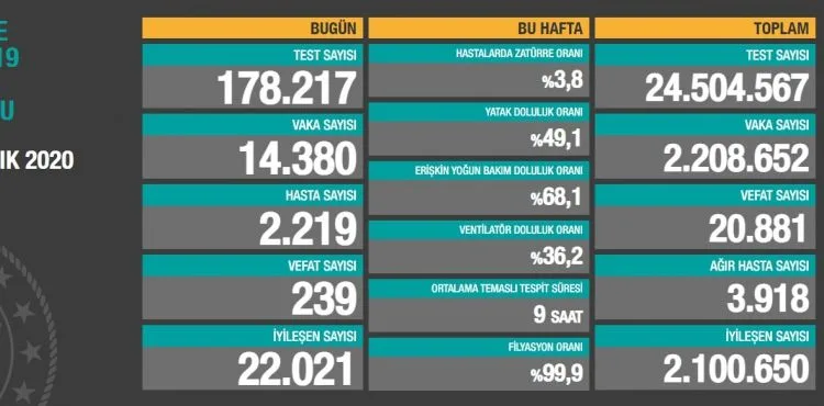 Koronavirüs salgınında can kaybı 20 bin 881'e yükseldi