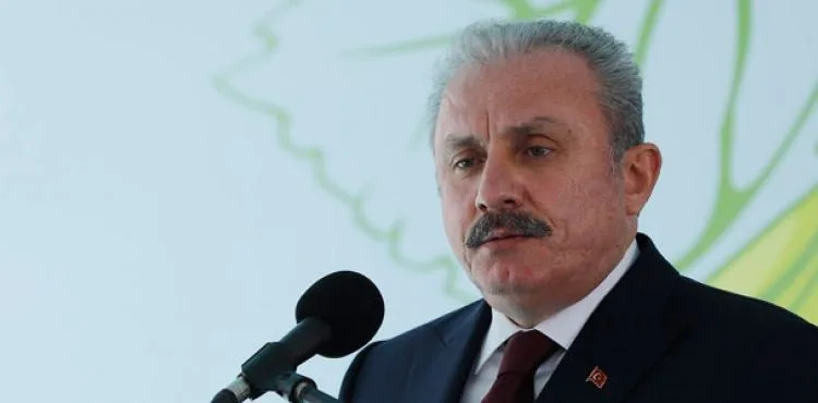 TBMM Başkanı Şentop'tan, AP'nin Türkiye kararına tepki