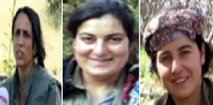 Lice'de etkisiz hale getirilen 6 teröristten 3'ü ödülle arananlar listesinden çıktı