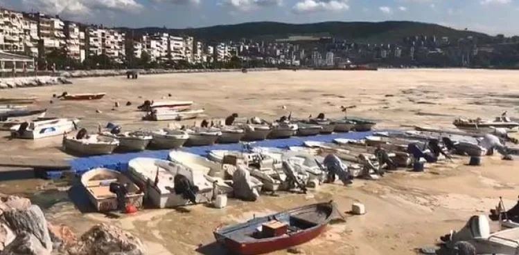 'Gemlik Körfezi'ndeki salya oluşumunun nedeni evsel atıklar ve sıcaklık değişimi'