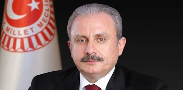 Şentop: Yanan alanların yapılaşmaya açılacağına dair endişeye mahal yoktur