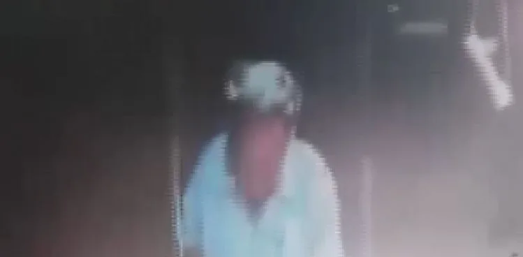 SULTANGAZİ'DE KÖPEKTEN KAÇAN KEDİ TIRMANARAK KAFASINA ÇIKTI