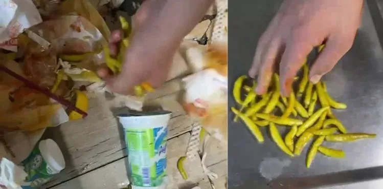 ÇÖPE ATILAN BİBERLER TEKRAR MÜŞTERİYE SUNULDU