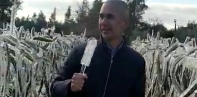 Adanalı üreticiye buz sarkıtı şoku