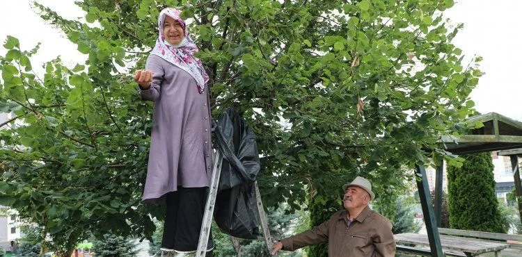 BU KIŞ IHLAMURLAR TALAS BELEDİYESİ’NDEN