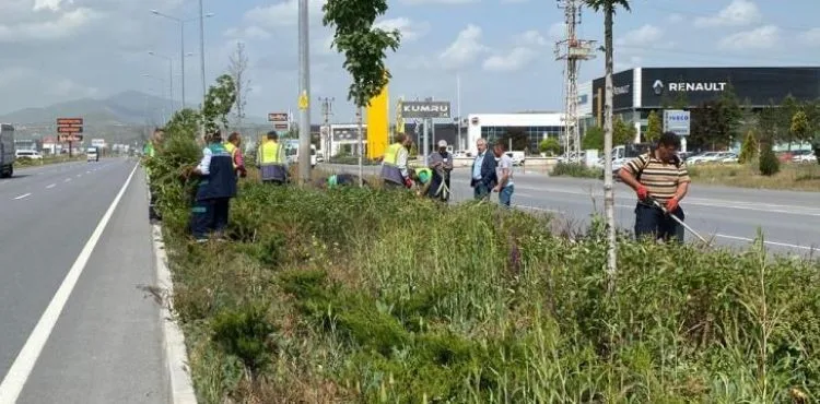 BÜYÜKŞEHİR’DEN KENTİN DÖRT BİR YANINDA YABANCI OTLARLA MÜCADELE