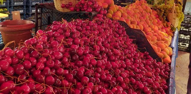 Kayseri semt pazarı fiyatları
