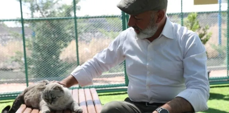 KOCASİNAN’DAN SICAK HAVADA SOKAK HAYVANLARINA SU VE MAMA TAKVİYESİ