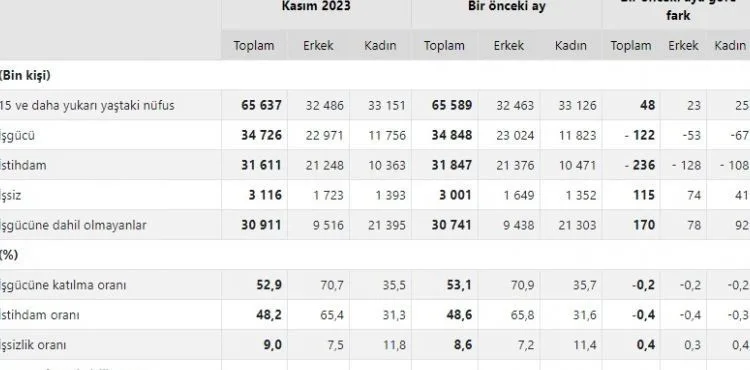TÜİK açıkladı: işsizlik oranı yüzde 9 seviyesinde gerçekleşti