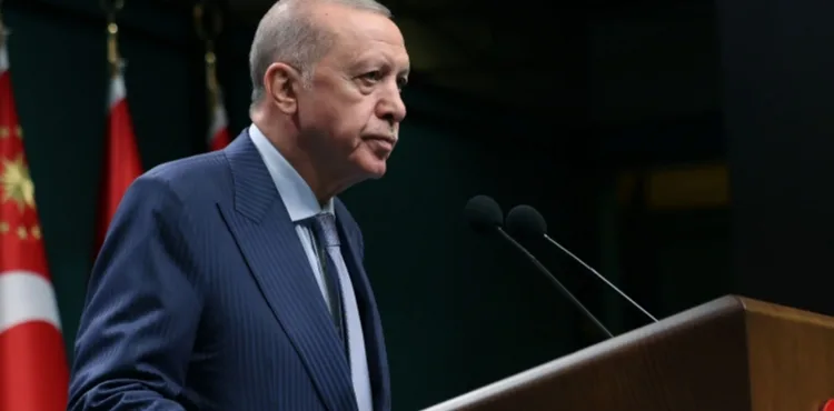 Cumhurbaşkanı Erdoğan: Yangınlarda sorumluluğu olduğu tespit edilen 31 kişi gözaltına alındı